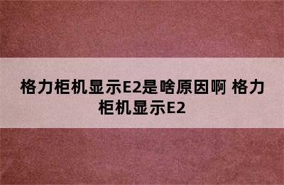 格力柜机显示E2是啥原因啊 格力柜机显示E2